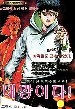 내맘이다 [단행본]