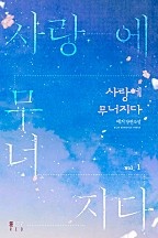 사랑에 무너지다 1 [단행본]