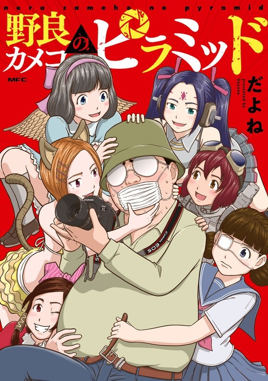 野良カメコのピラミッド