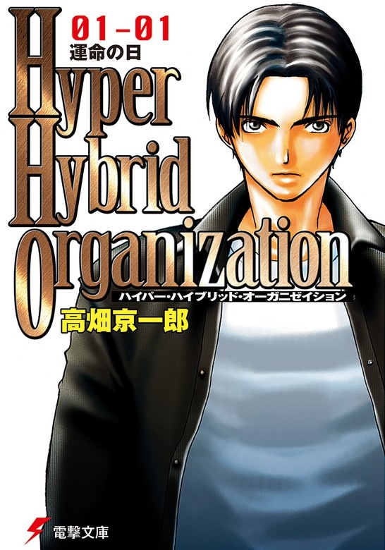 Hyper Hybrid Organization
