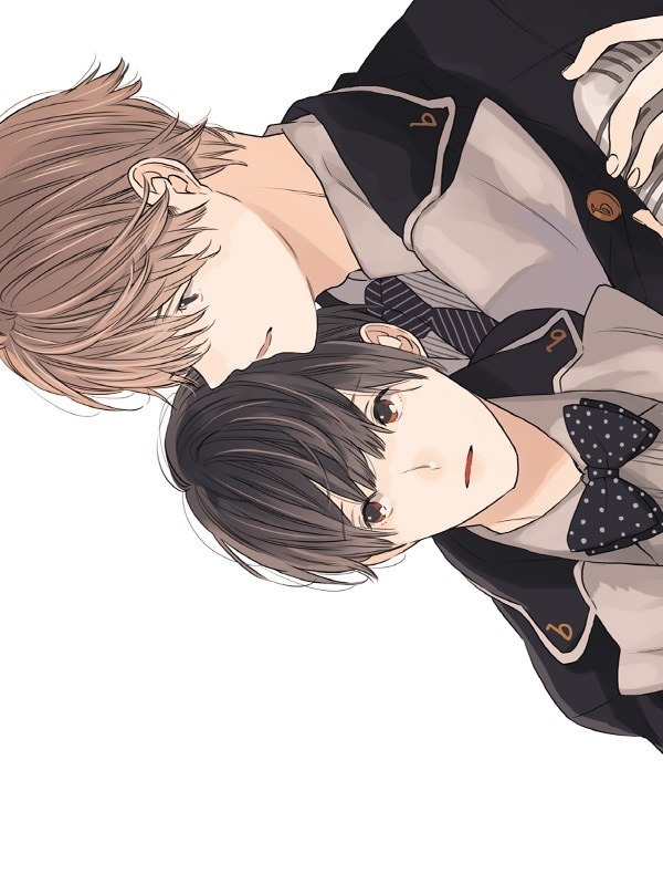[비애] BLT