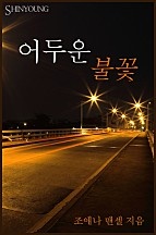 어두운 불꽃 [단행본]