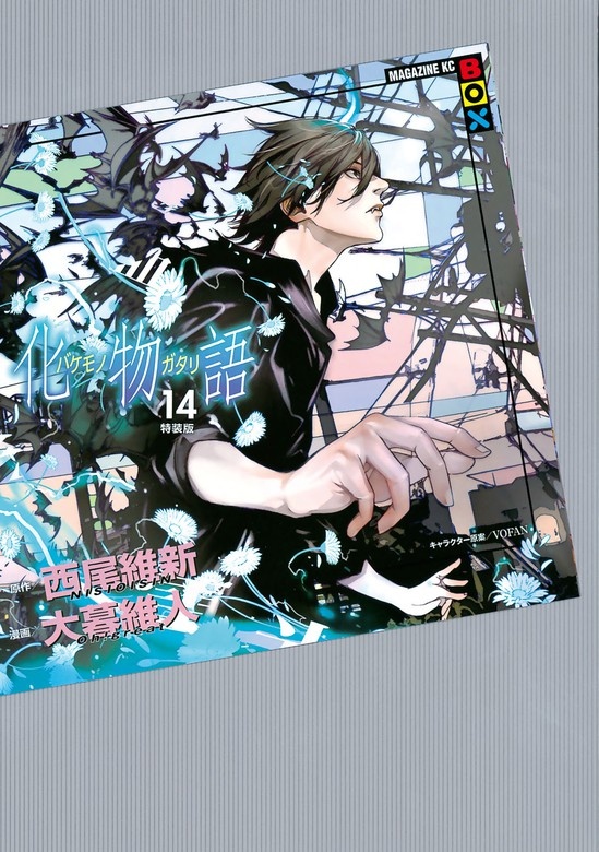化物語　特装版