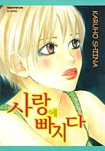 사랑에 빠지다 [단행본]