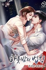 하룻밤의 법칙