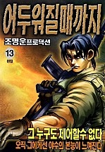 어두워질때까지 [단행본]