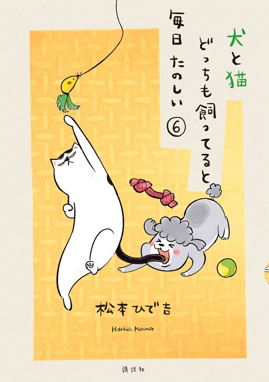 犬と猫どっちも飼ってると毎日たのしい