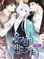 유성이 내리는 거리[BL]