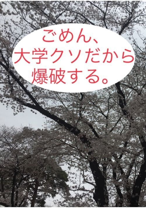 ごめん、大学クソだから爆破する。