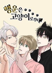 행운은 고양이로부터