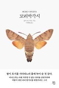 꼬리박각시