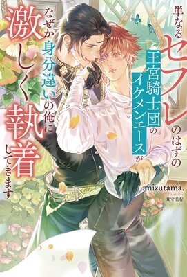 単なるセフレのはずの王宮騎士団のイケメンエースがなぜか身分違いの俺に激しく執着してきます