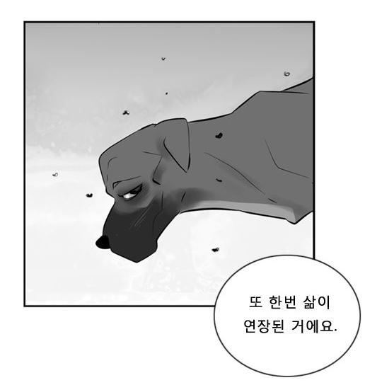 은빛고릴라4.JPG