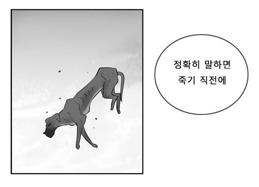 은빛고릴라3.JPG