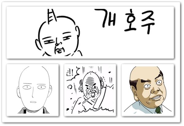 대표적인대머리캐릭터_개호주인터뷰.jpg 대표적인대머리캐릭터_개호주인터뷰.jpg