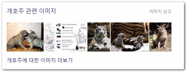개호주_1.jpg 개호주_1.jpg