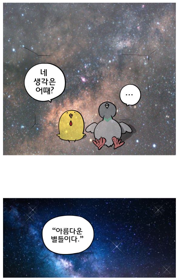 아름다운별들이다.JPG