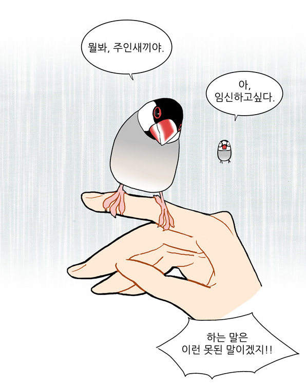 다음_웹툰_추천_우리집_새새끼3.jpg